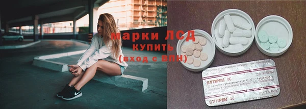 гашик Богданович