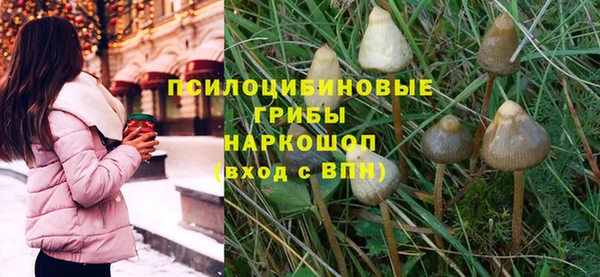 каннабис Богородицк