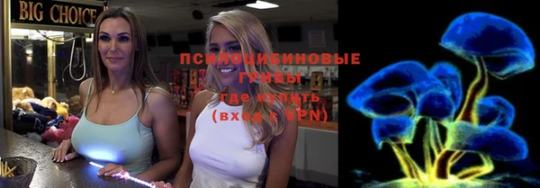 гашик Богданович