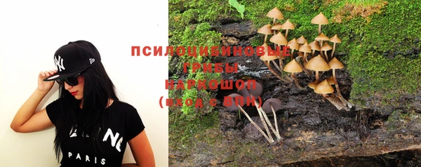 гашик Богданович