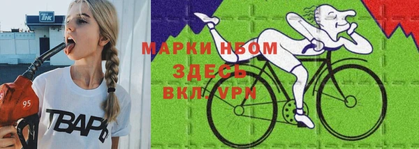 гашик Богданович