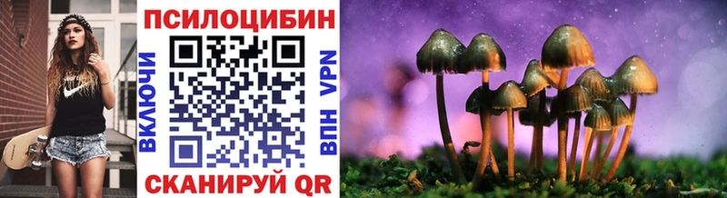 ОМГ ОМГ сайт  купить закладку  Егорьевск  Псилоцибиновые грибы прущие грибы 
